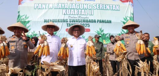 Perkuat Ketahanan Pangan, Gubernur Banten Andra Soni: Pemprov Banten Tingkatkan Produksi Tanaman Jagung