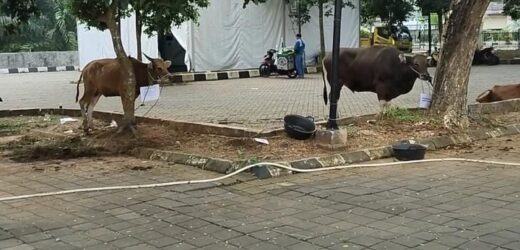 Distribusi Hewan Kurban Masjid Raya Al-Bantani Disoal: Warga Tak Kebagian Meski Sudah Ajukan Proposal