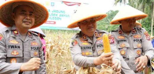 Polres Cilegon Akan Panen Raya Jagung Kuartal Ketiga Program Swasembada Pangan Seluas 1 Hektar Di Salira