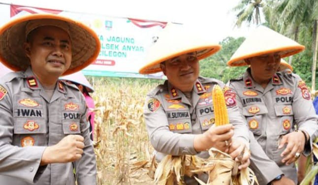 Polres Cilegon Akan Panen Raya Jagung Kuartal Ketiga Program Swasembada Pangan Seluas 1 Hektar Di Salira