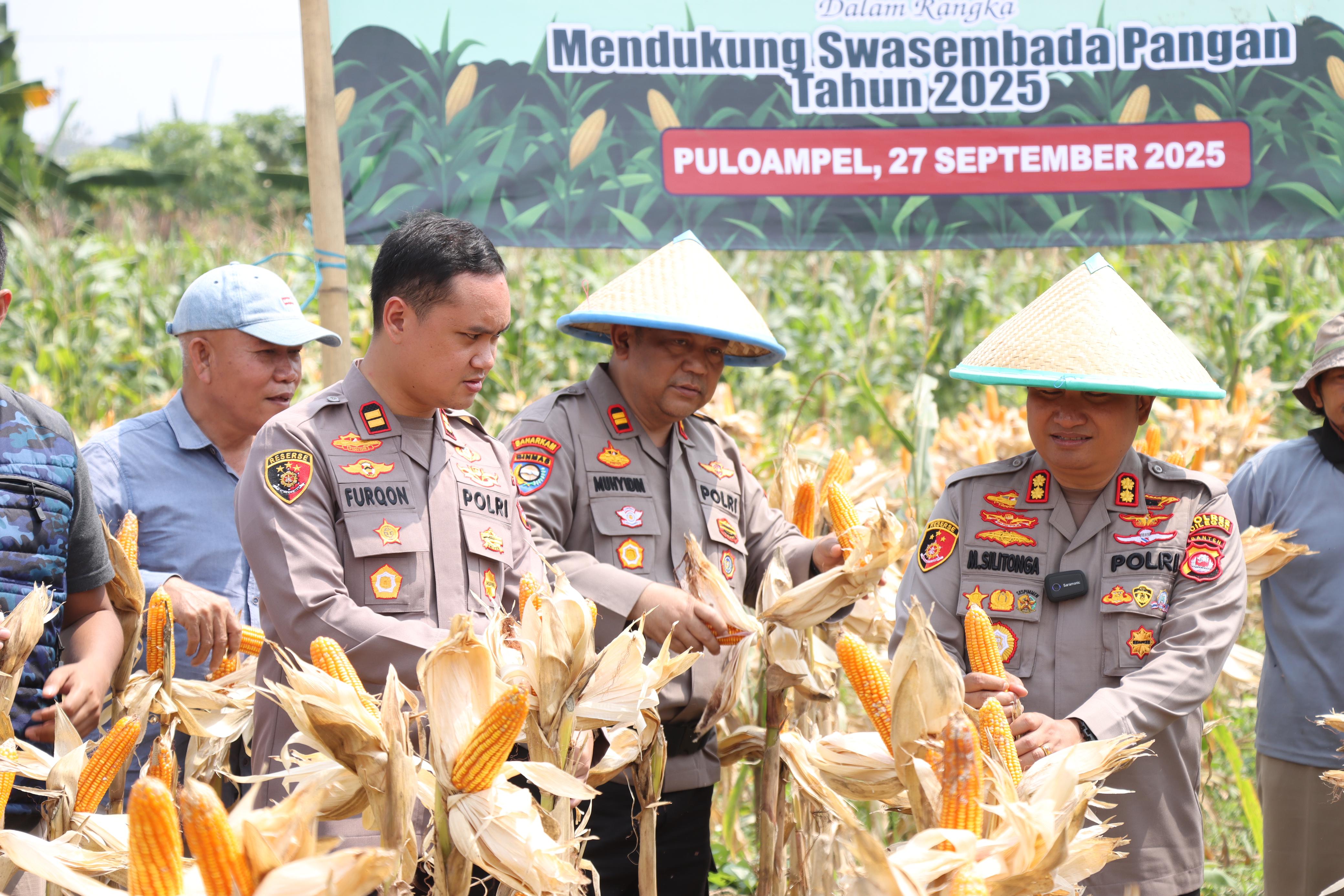 Polres Cilegon Banten Gelar Panen Raya Jagung Dan Ketapang Murah