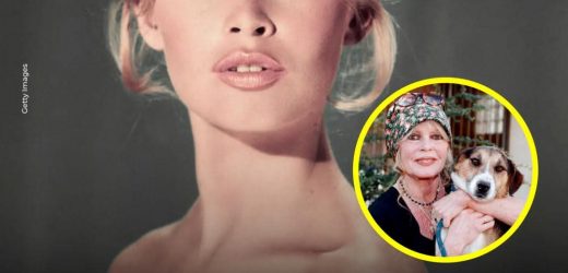 Dunia mengucapkan selamat tinggal kepada Brigitte Bardot, sang inspirasi besar dari perfilman Prancis