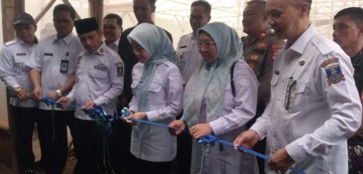 Bupati Serang Hj. Ratu Rachmatuzakyah Spd, MM meresmikan Greenhouse dan launching (Panen Perdana) Budi Daya Sayuran Hidroponik  (selada) di Desa Cibojong kecamatan Padarincang.