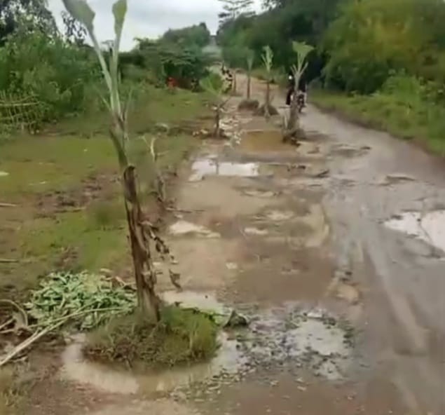 Jalan Rusak, Dinas DPUPR Kota Serang Bisa Dikenakan Dugaan Pidana Apabila Ada Korban
