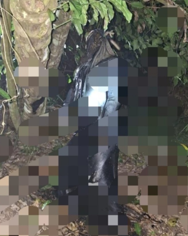 Mayat Perempuan Ditemukan di Kebun Pakel Pudak Serang, Polisi Selidiki Identitas