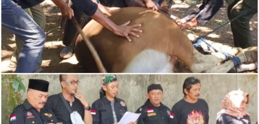 Ketum LAPBAS Indonesia, H.TB.Endang.,S.H.,Gelar Qurban Sapi, Di saat Idul Adha 1447 Hijriah