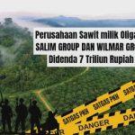 ERA KEBAL HUKUM BERAKHIR? PERUSAHAAN SAWIT MILIK OLIGARKI DISITA DAN DIDENDA NEGARA!