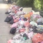 Anggota DPD IWO Indonesia Kabupaten Tangerang Geram, Tumpukan Sampah di Sukadiri Dinilai Cederai Wajah Pelayanan Publik