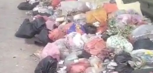 Anggota DPD IWO Indonesia Kabupaten Tangerang Geram, Tumpukan Sampah di Sukadiri Dinilai Cederai Wajah Pelayanan Publik
