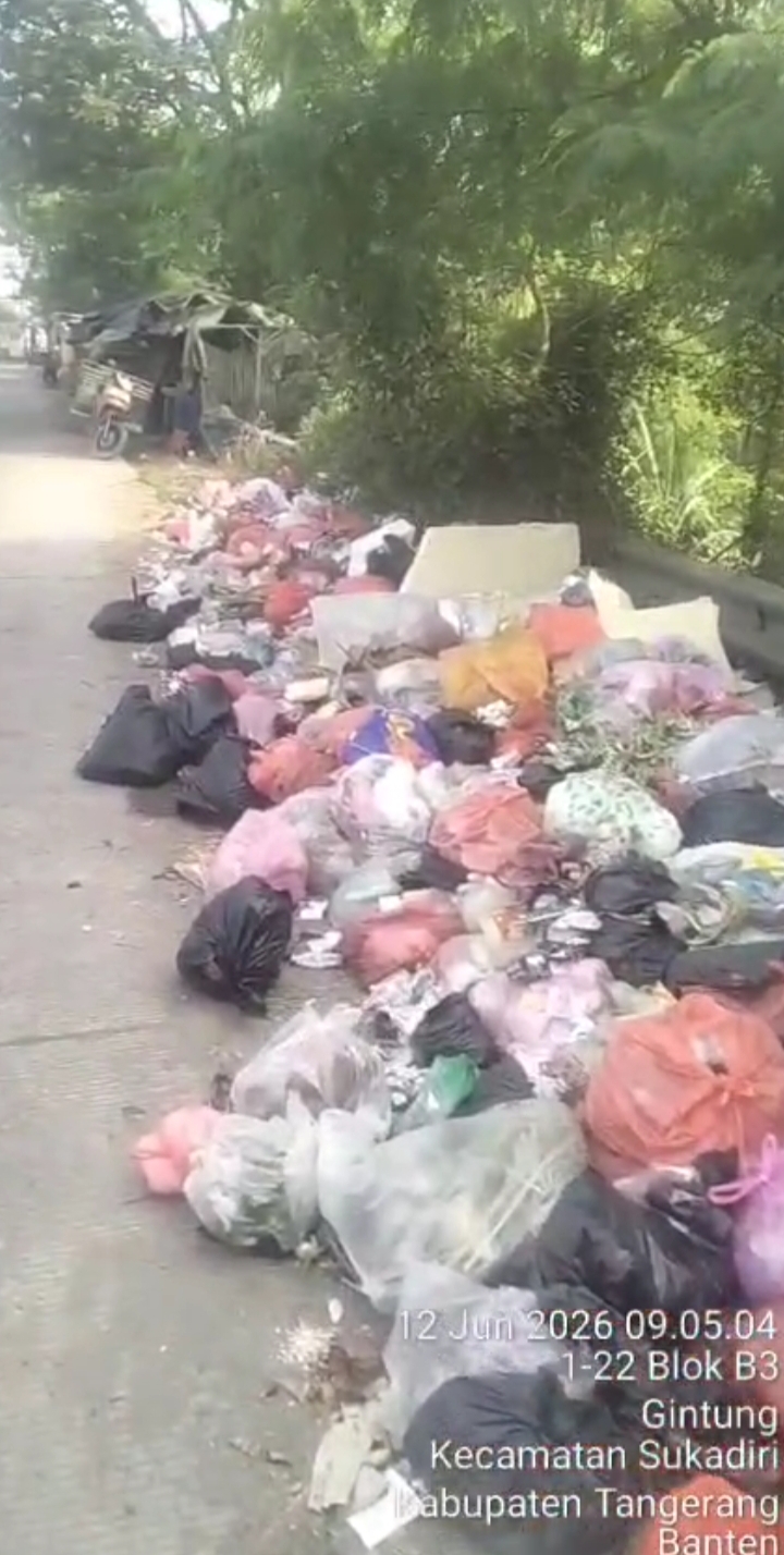 Anggota DPD IWO Indonesia Kabupaten Tangerang Geram, Tumpukan Sampah di Sukadiri Dinilai Cederai Wajah Pelayanan Publik
